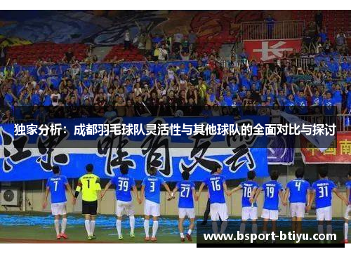 独家分析：成都羽毛球队灵活性与其他球队的全面对比与探讨